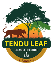 Tendu Leaf